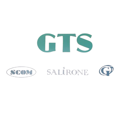 Công Ty TNHH GTS (Viet Nam) Industrial